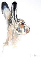 Animals Hare - She Glanced At The Moon Unframed
